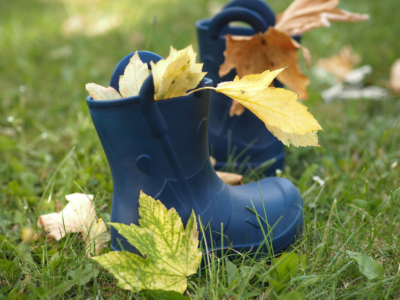 Camminare termokummik Splash navy - Image 7