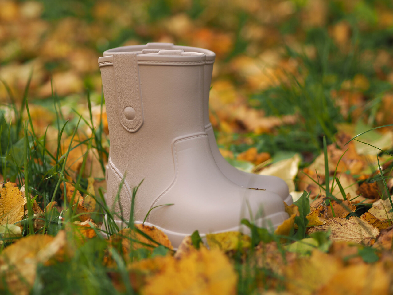 Camminare termokummik Bear camel - Image 5