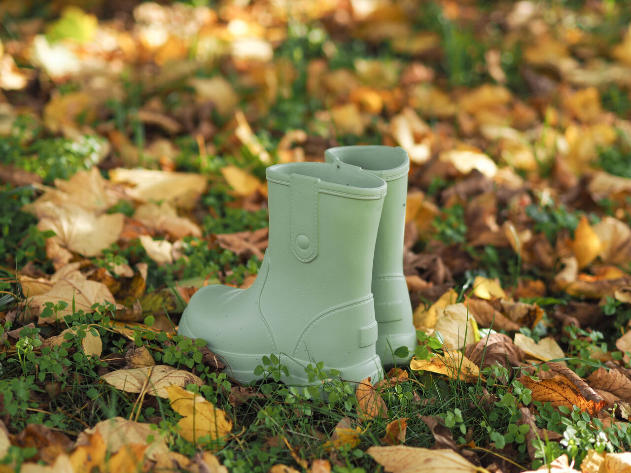 Camminare termokummik Bear oliiv - Image 6