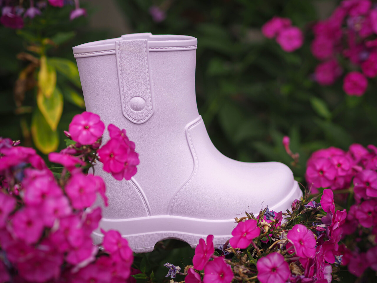 Camminare termokummik Bear lilla - Image 4