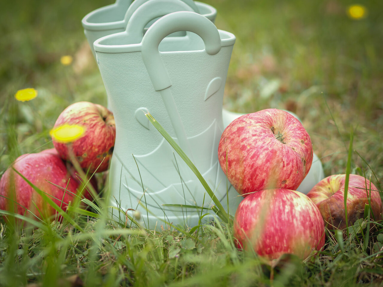 Camminare termokummik Splash oliiv - Image 6