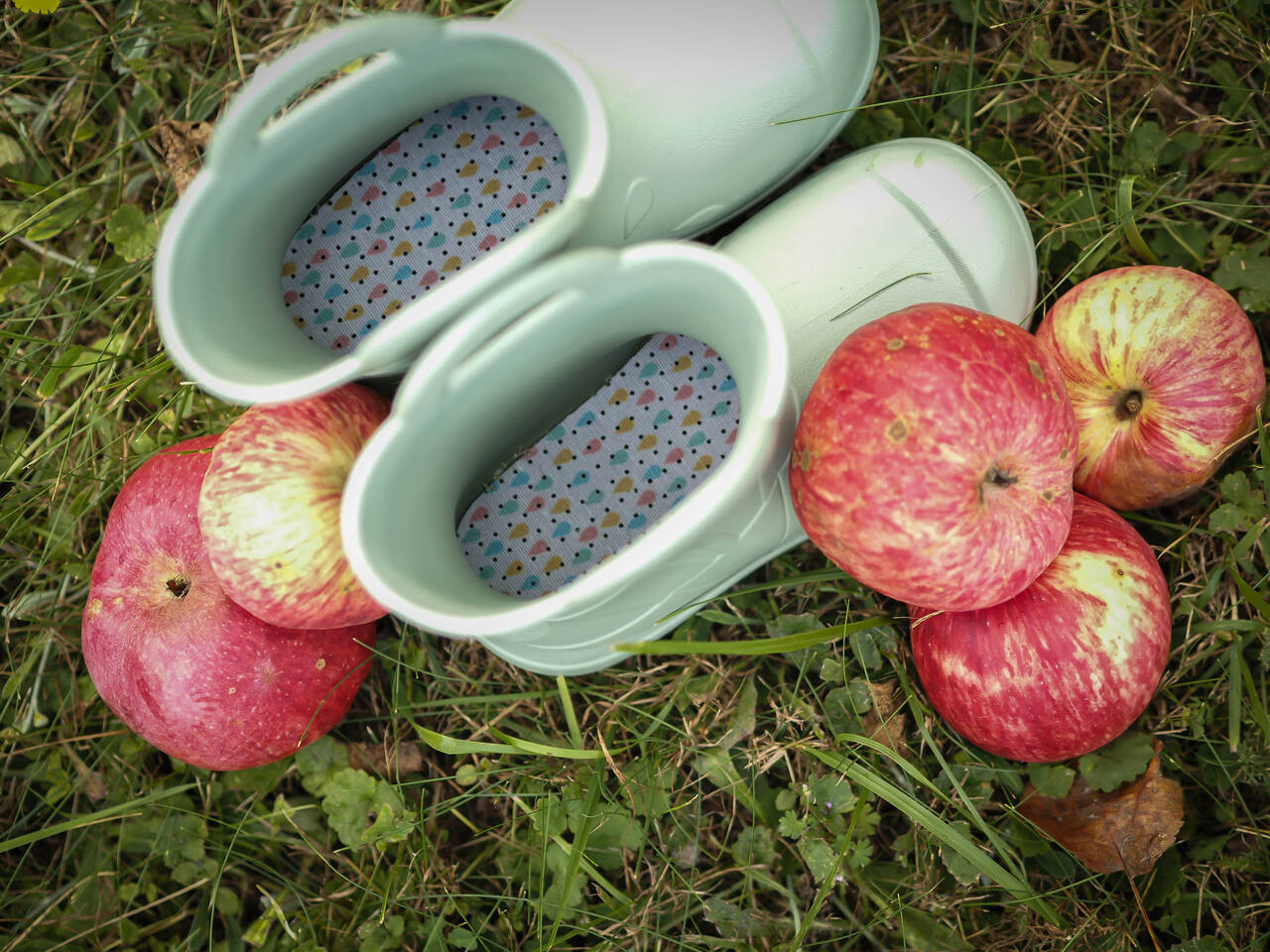 Camminare termokummik Splash oliiv - Image 5