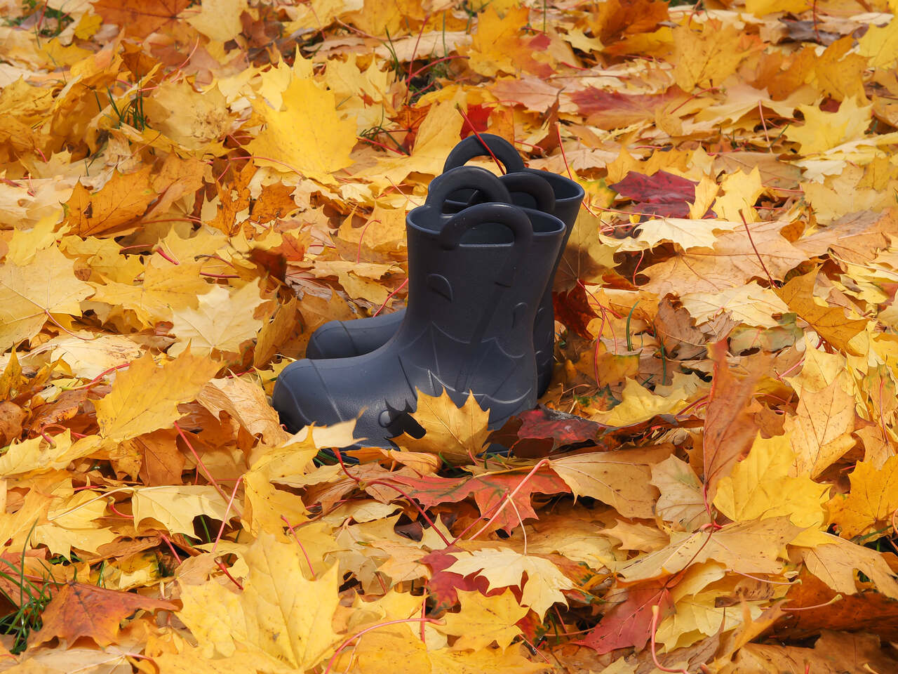 Camminare termokummik Splash navy - Image 8